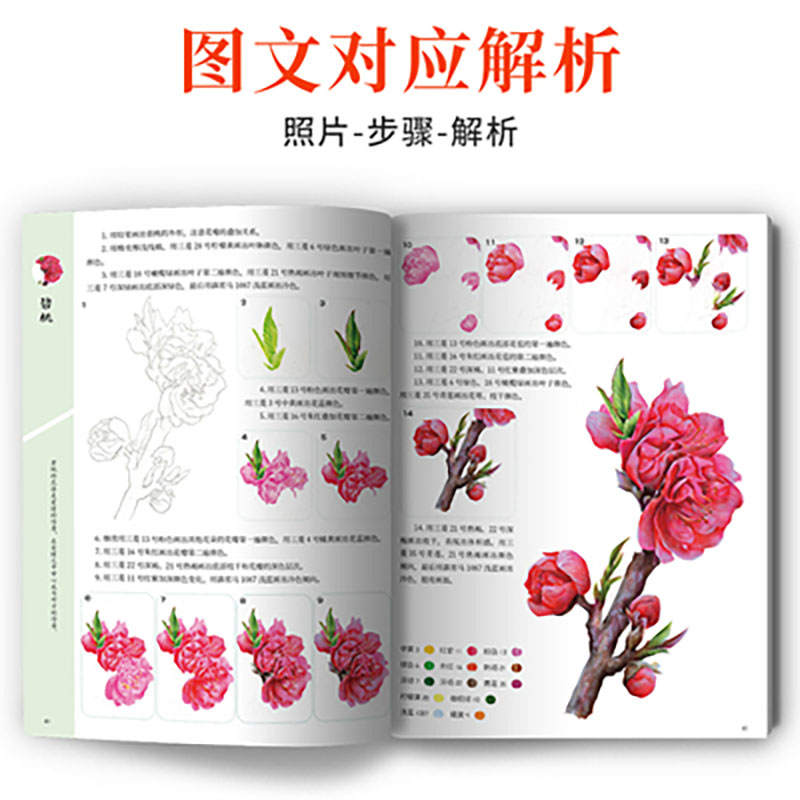 Un curso de técnicas prácticas - Food And Snacks Coloring Book Bold And Easy reseña y precio