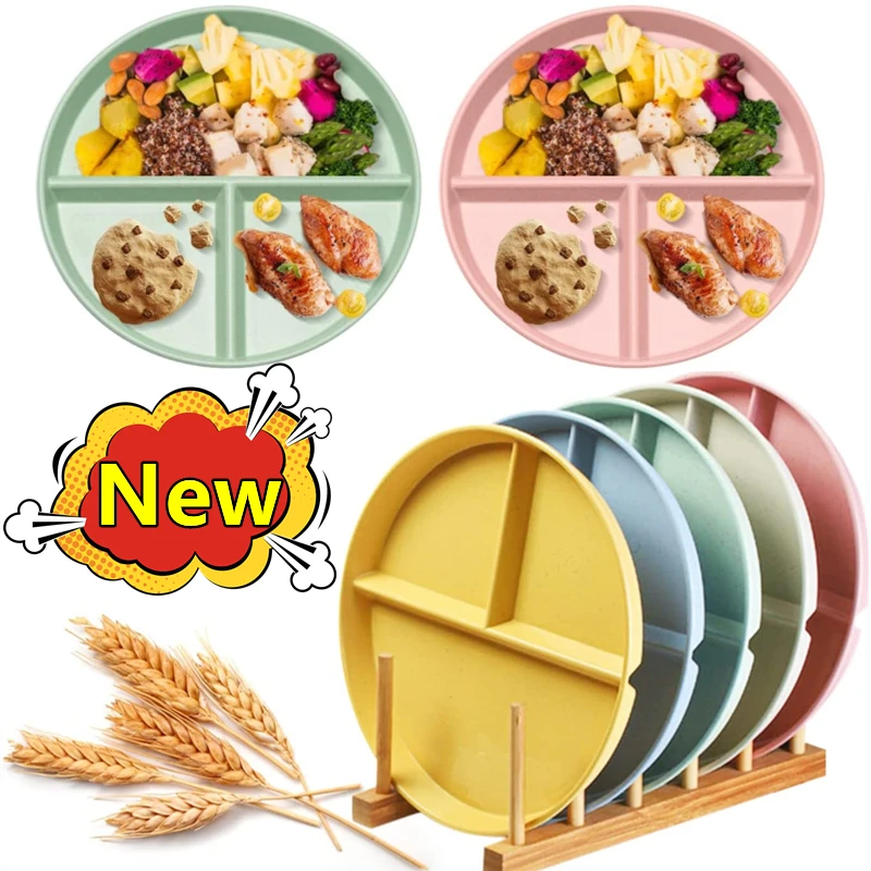 Plato plato porción bariátrica - Food Snacks To Lose Weight reseña y precio